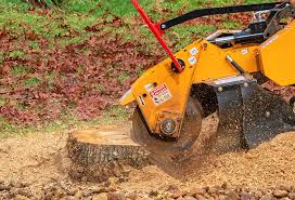 How Our Tree Care Process Works  in  Pinehurst, NC